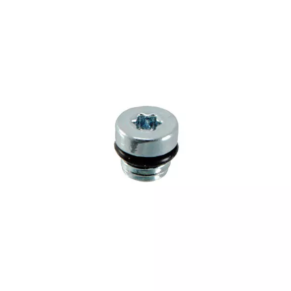 Formula Italy Bleed Port Screw/O-Ring C1/CR1 (2014+)